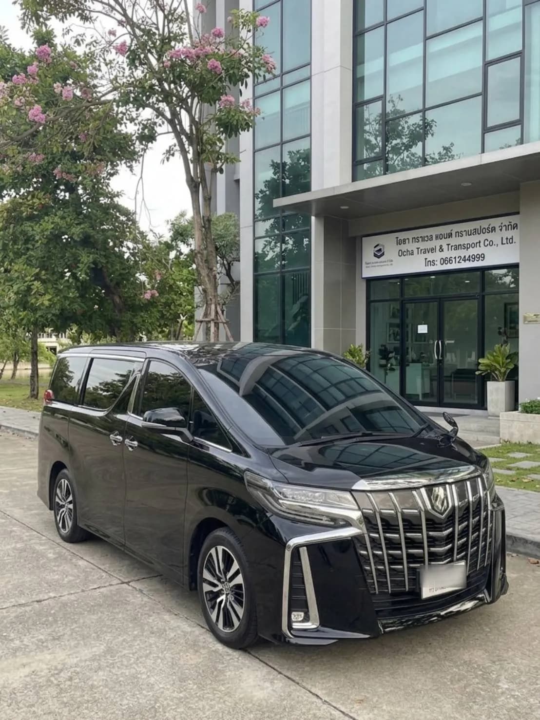 VIP Van + Alphard 9