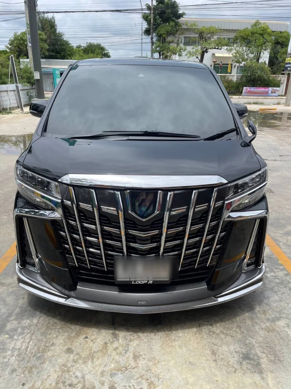 VIP Van + Alphard 17
